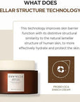 SKIN1004 Madagascar Centella Probio-Cica Enrich Cream 50ml - WowDrops