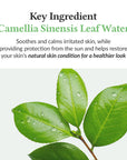 Dr Althea Green Tea Fresh Sunscreen 45ml