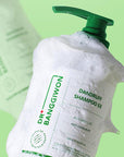 Dr. Banggiwon Dandruff Shampoo EX 500ml | Anti-Dandruff & Hair Loss Care