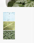 Anua Heartleaf 77% soothing toner 250ml - WowDrops