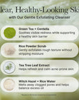 Arencia Fresh Green Rice Mochi Cleanser 120gm | 3-in-1 Vegan Cleanser
