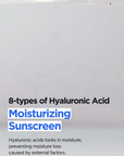 Isntree Hyaluronic Acid Watery Sun Gel 50ml