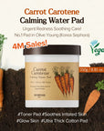 Skinfood Carrot Carotene Calming Water Pads (60pc)