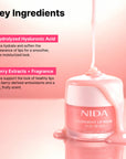 NIDA Overnight Lip Mask 20g