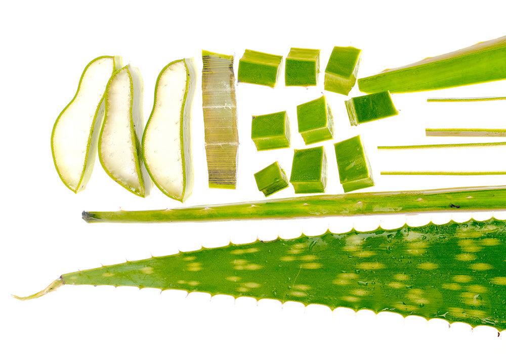 EQQUALBERRY Aloe PDRN Calming Serum 30ml | Strengthen &amp; Restore