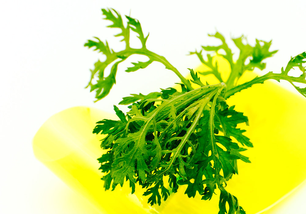 EQQUALBERRY Aloe PDRN Calming Serum 30ml | Strengthen &amp; Restore