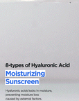 ISNTREE	Hyaluronic Acid Watery Sun Gel 50ml