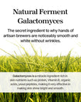 Mixsoon Galactomyces Ferment Essence 100ml