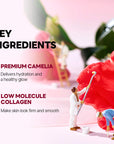 Round Lab Camellia Deep Collagen Firming Gel Mask Set [34g x 4 sheets]