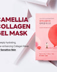 Round Lab Camellia Deep Collagen Firming Gel Mask Set [34g x 4 sheets]