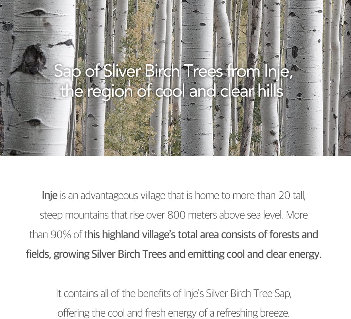 Round Lab Birch Moisture Tone-Up Sunscreen 50ml